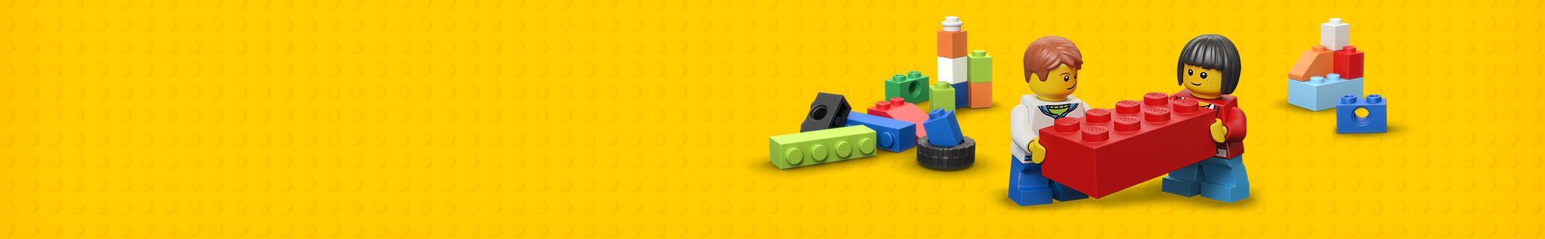 Brickkampioen LEGO banner